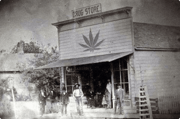 Tennessee cannabis history